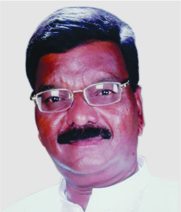 श्री. दादू लक्ष्मण डोळस