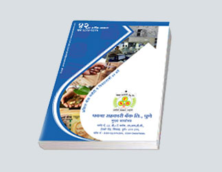 Annual Report 2020